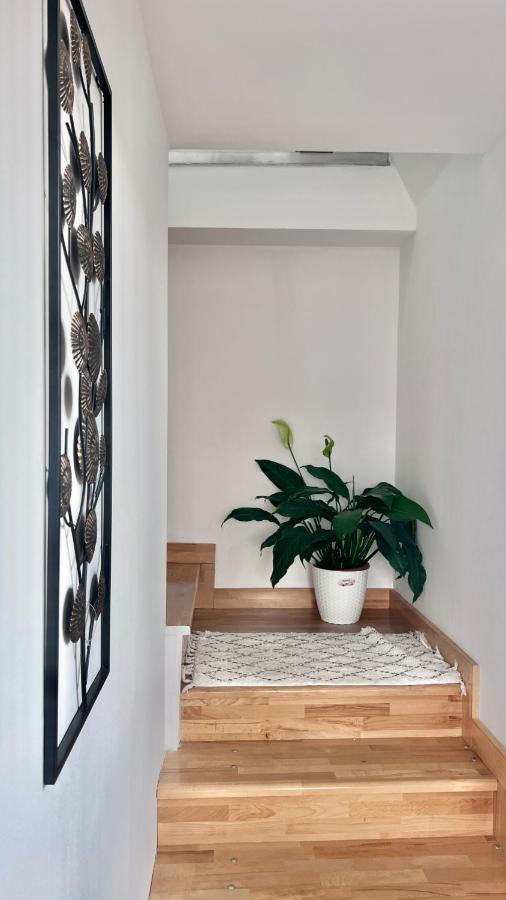 Lovely Loft Cluj-Napoca Exterior foto